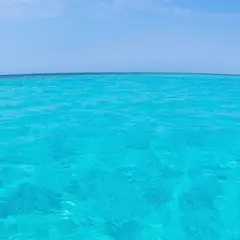 八重干瀬コーラルコーヴ