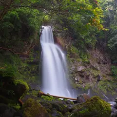 尾の島 自然公園