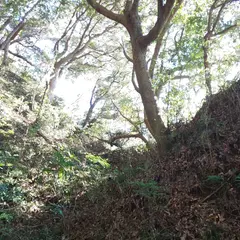 長山城跡