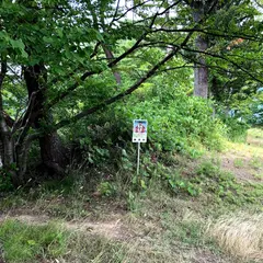 藤田城跡