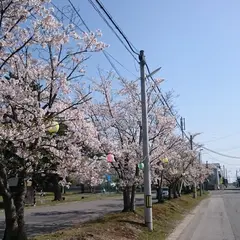 長瀞城跡