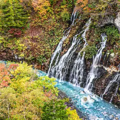 白ひげの滝