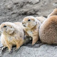 江戸川区自然動物園