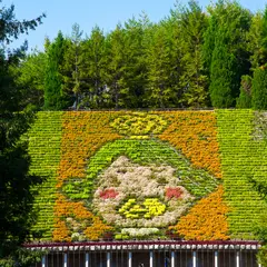宇治市植物公園