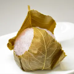 菊寿堂 