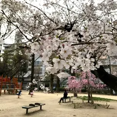 空鞘公園