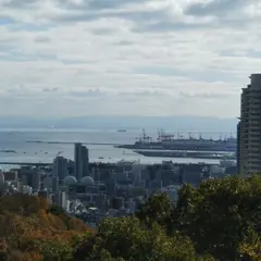 市ヶ原 堰堤