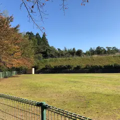 滝野氏城跡