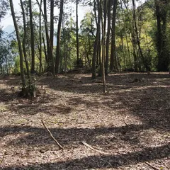 清色城 中之城跡