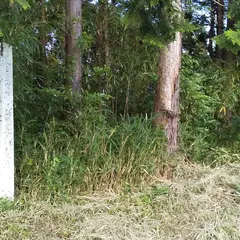 岩広城跡