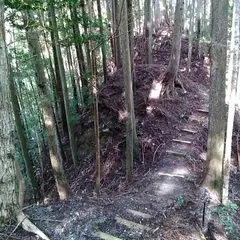 若子城跡