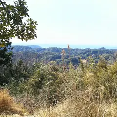 宮本城址