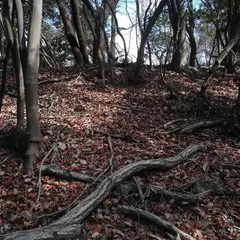 摂津・水牢城跡