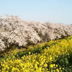 小谷城跡