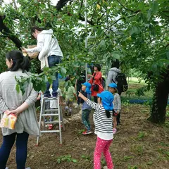 奥さくらんぼ農園