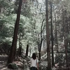 天拝山歴史自然公園