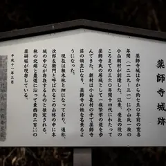 薬師寺城跡