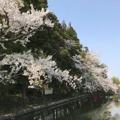 出羽藤島城址 八幡神社