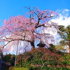 深根城址