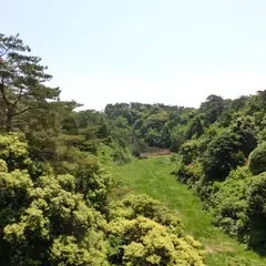 棚木城跡