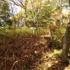 備後桜山城跡