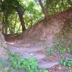 亀丘城跡
