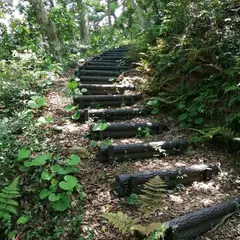 十神山城跡