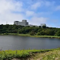 ハルトルチャランケチャシ跡