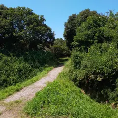津賀城跡