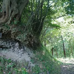 大平新城址（大平城物見郭）