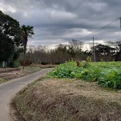 請西城跡