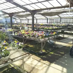小林農園