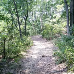 山名城跡