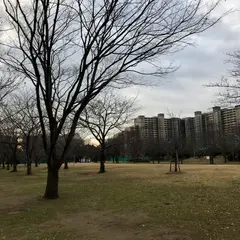 高洲中央公園