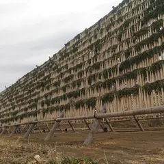 宿利原地区