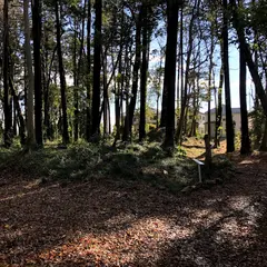 幸谷城跡