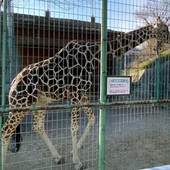桐生が岡動物園