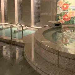 道後温泉 道後プリンスホテル