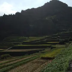 つづら棚田駐車場