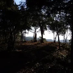 信田ノ丸城