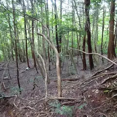 勝山城址