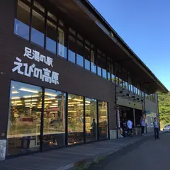 えびの高原温泉足の湯
