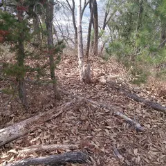 堂崎山城跡
