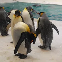 海獣館
