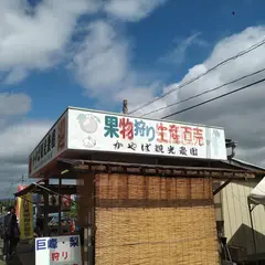 かやば観光農園