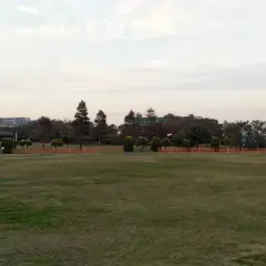 辰巳の森緑道公園