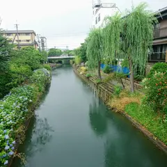 蓬莱橋 Hourai-bridge