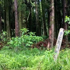 市比野城址