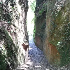 清色城 松尾城跡