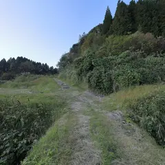 藺牟田古城跡